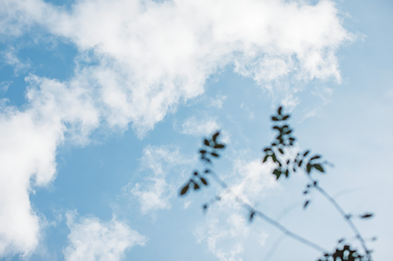 画像: 唯一決めているのは、7分と時間を決めて同じ道を手ぶらで歩くこと。思いたって1日数回行くことも