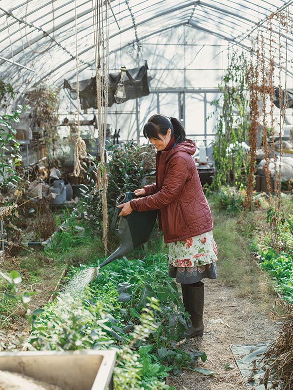 画像: 温室で葉物野菜に水やり。雨水タンクにためられた水を地中の配管で温室まで引いている。「井戸水もあり、車や農機具を洗うのに使っています」