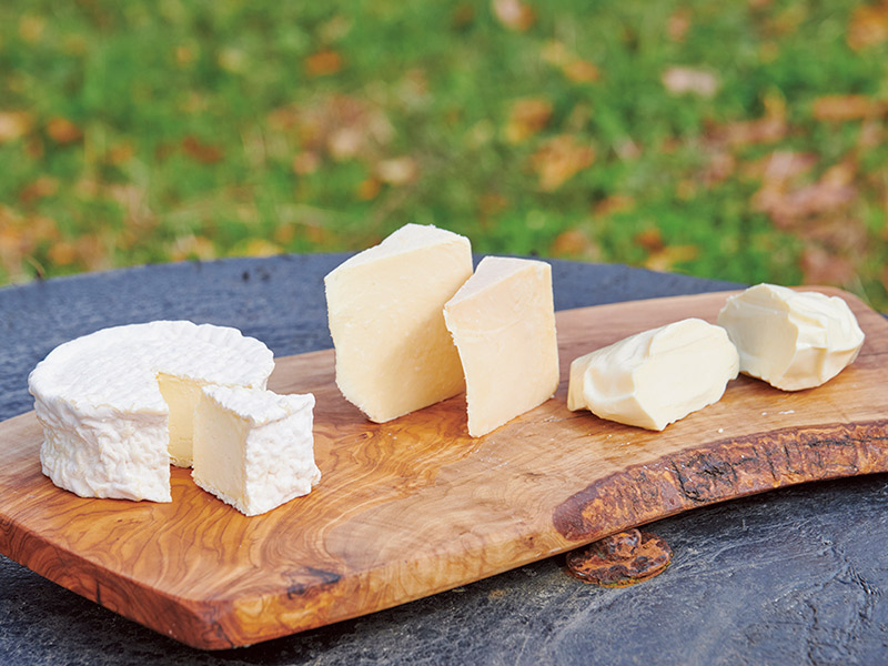 画像: 手がけるチーズは4種。ほかにモッツァレラ、セミハードチーズがある