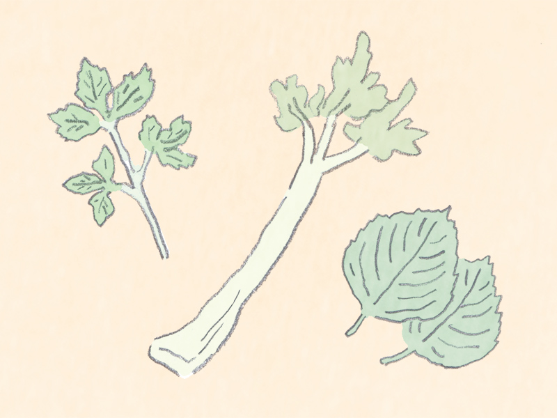 気のめぐりをよくする「香味野菜」のすすめ。イライラやおなかの張りに三つ葉や青じそ心と体を整える春のかんたん食養生／国際中医薬膳師・久保奈穂実さん