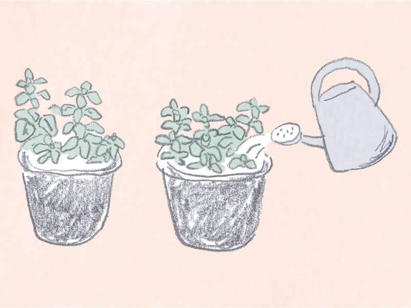 画像: 心と体を整える春の食養生 目の充血にはミントを取り入れて