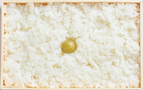 画像: 白飯