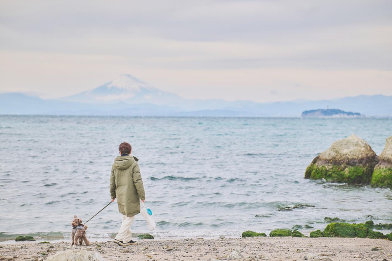 画像: 45歳で葉山へ移住「悩み体質」だった私を変えた新しい5つの習慣。グリーンスタイリスト・吉原友美さんが見つけたセルフケアの日々 - 天然生活web