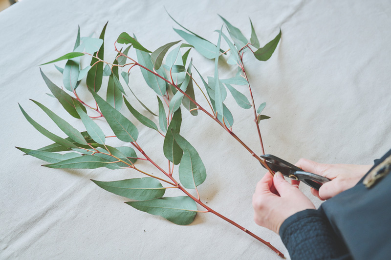 画像: 壁にかけたときを想像し、好みの長さになるように茎をカットする。全体が縦長に仕上がるのが理想的。横に広がる枝が邪魔なら切り落とす