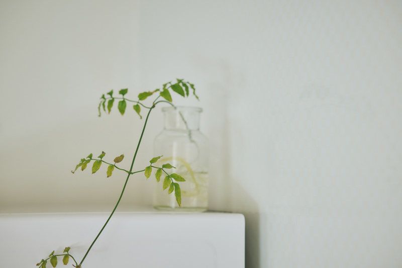 画像: 目線の先も楽しめるように、電子レンジの上にもグリーンを