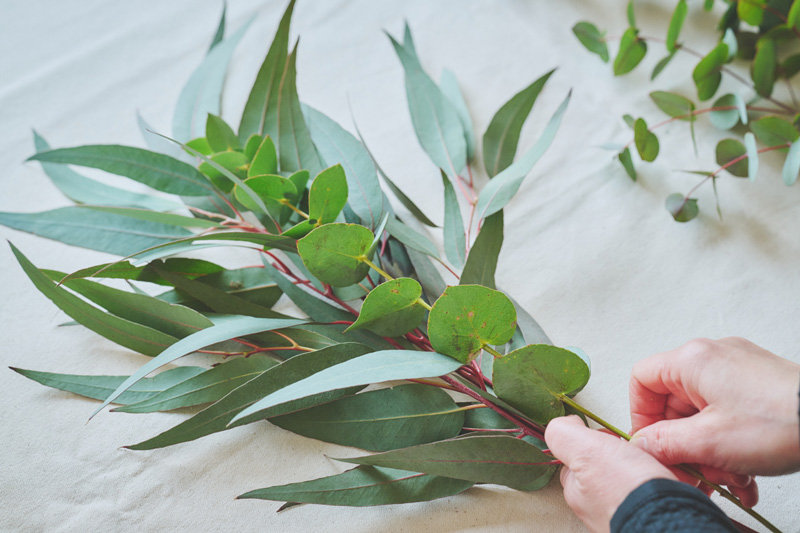 画像: 重ねるのは、ユーカリ・ロングリーフから少し下の位置。段差をつけるイメージで