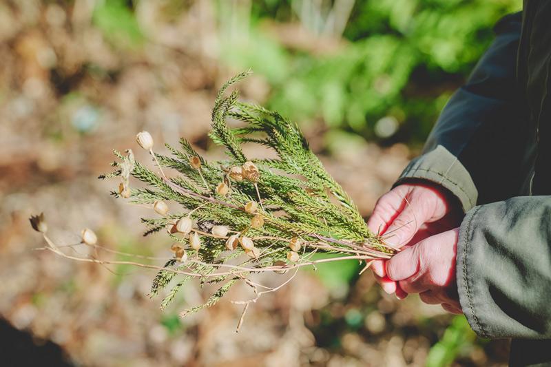 画像: 山では落ち葉や木の実を拾って、スワッグづくりに生かすことも