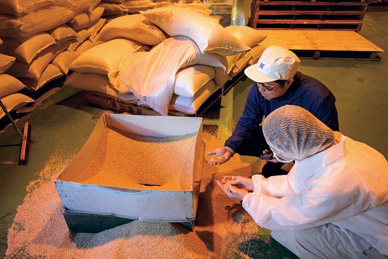 画像: 原料のごまに入った小石などを除去する