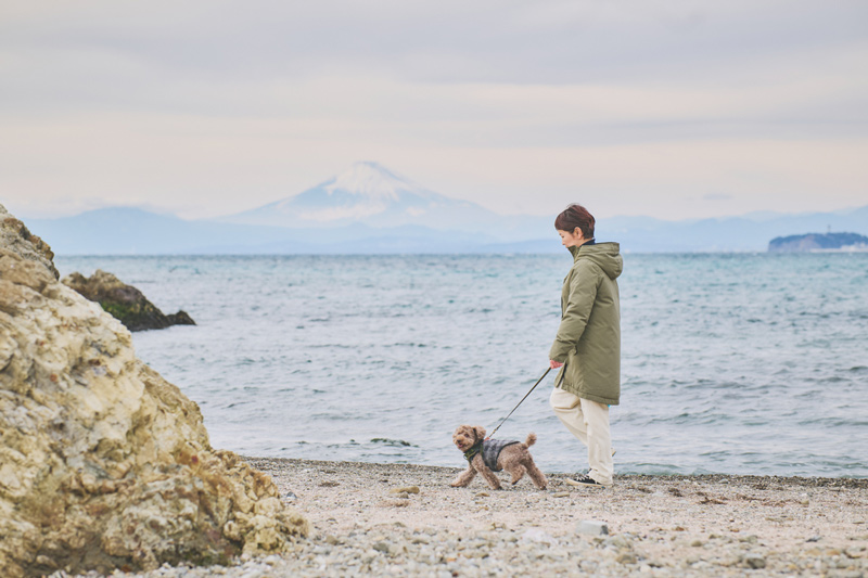 画像: この日散歩に訪れたのは森戸海岸。相模湾と富士山が望める絶景スポット