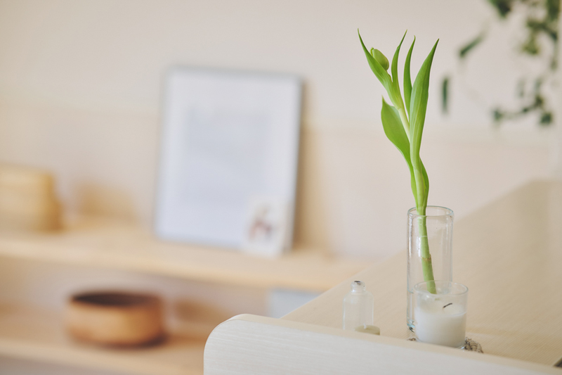 画像: ちょっとした余白にも、季節の気配を感じる植物を