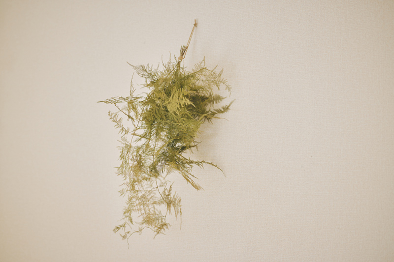 画像: 部屋のアクセントになる、壁にかけたボリュームのあるスワッグ