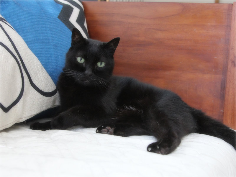 画像: 16歳のウンはマイペース