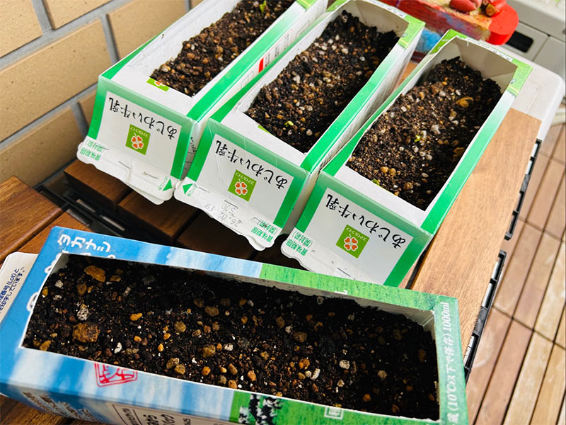 画像3: 大好きな『ガラスの仮面』の世界に耽溺！ときめきとともによみがえる若い日の思い出