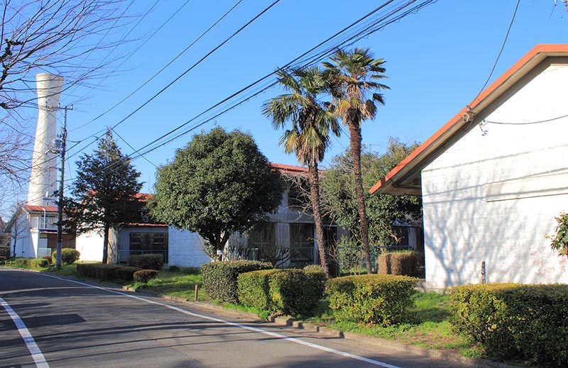 画像: テラスハウスといえば、団地の聖地のひとつ「阿佐ヶ谷住宅」（東京都・杉並区）ですね。緑ゆたかな広い敷地に、かわいいテラスハウスが点々と建っていて、東京23区内とは思えないのどかな景観が広がっていました。「阿佐ヶ谷住宅」は、前川國男事務所で大高正人さんが担当。日本住宅公団では、昭和30年代に数々の傑作団地を手掛けた団地のカリスマ・津端修一さん（映画『人生フルーツ』でも有名ですね）が担当した、オールスターキャストが終結したスゴすぎる団地だったのですが、いまは民間のマンションに建て替えられました。私も写真を撮っていたはずなのですが、解体時の写真しか見つからなかったので、ウィキペディア・コモンズより転載させていただきました（撮影／Kakidai）