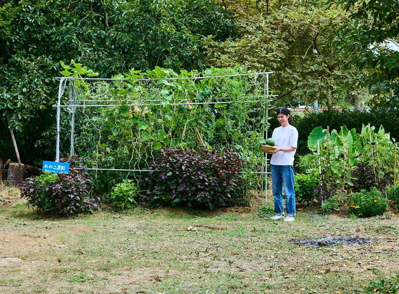 画像1: 自然を感じる毎日になる