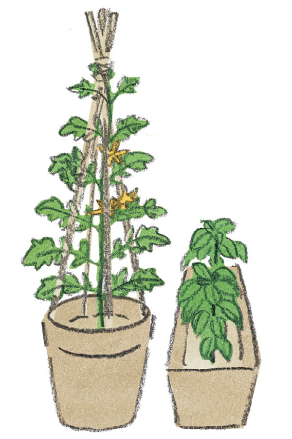 画像: 1区画をプランター1個に置き換えてもいい