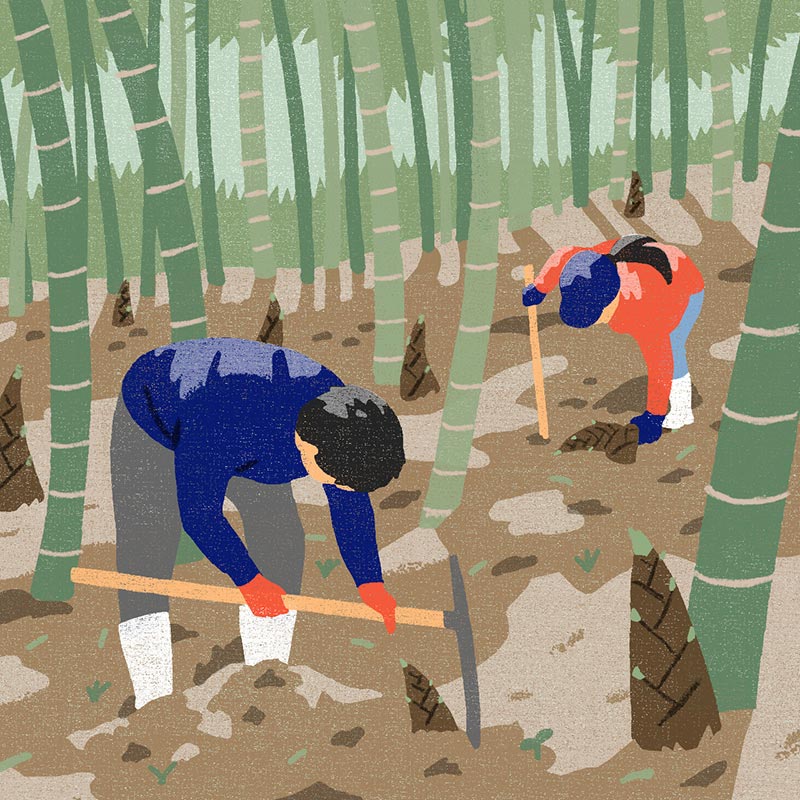 画像1: 3つのまちがいを探してください