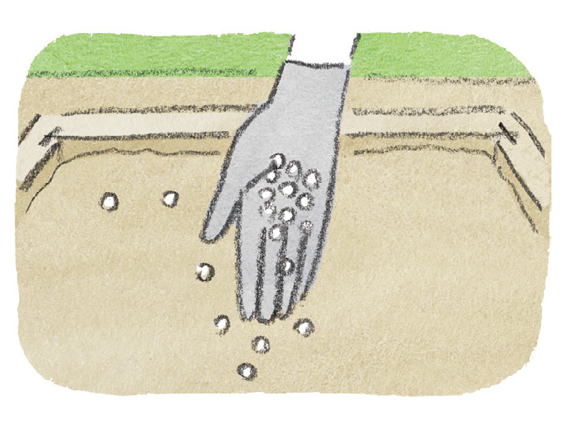 画像2: 土を耕して材料を加えれば準備完了