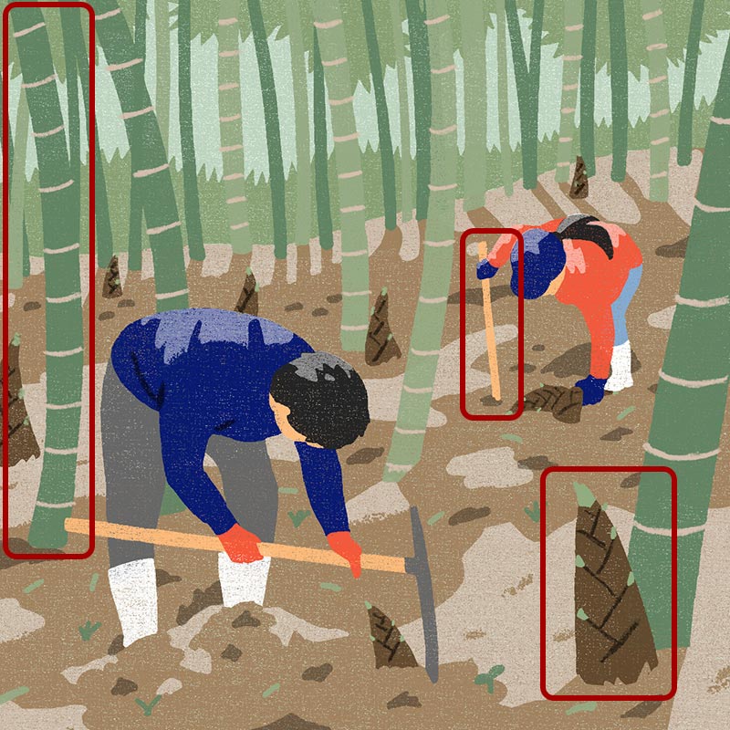 画像3: 3つのまちがいを探してください