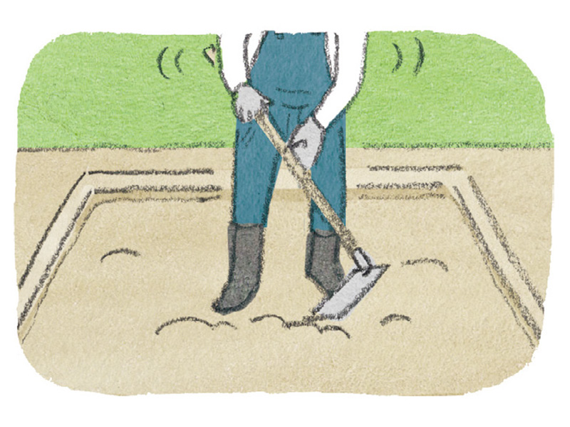 画像3: 1坪で「年間32品目」の野菜を収穫できるミニ家庭菜園の栽培プラン。2×2mの土地で春夏16種、秋冬16種を育てる“1坪菜園”の楽しみ／和田義弥さん