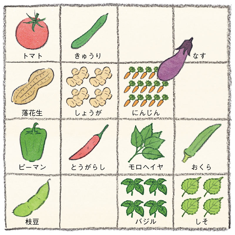 画像: 8月の栽培プラン