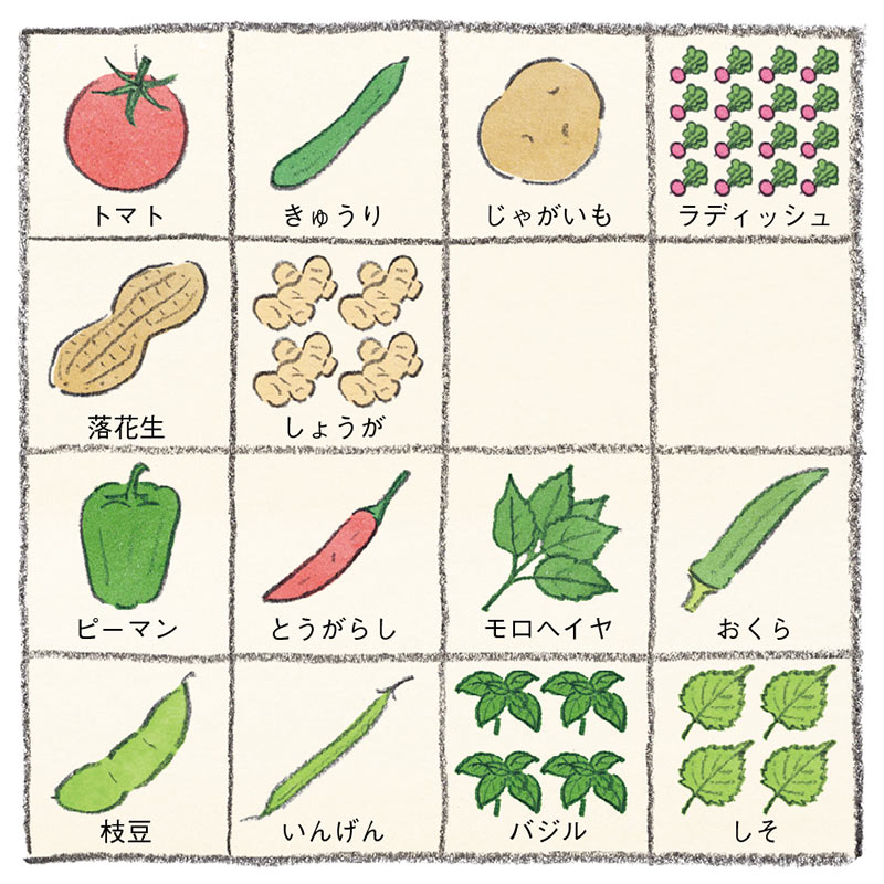 画像: 4月の栽培プラン