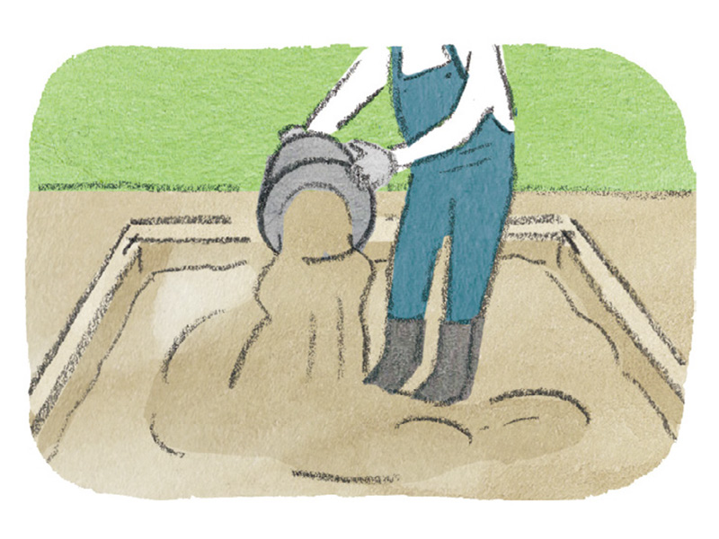 画像1: 1坪で「年間32品目」の野菜を収穫できるミニ家庭菜園の栽培プラン。2×2mの土地で春夏16種、秋冬16種を育てる“1坪菜園”の楽しみ／和田義弥さん