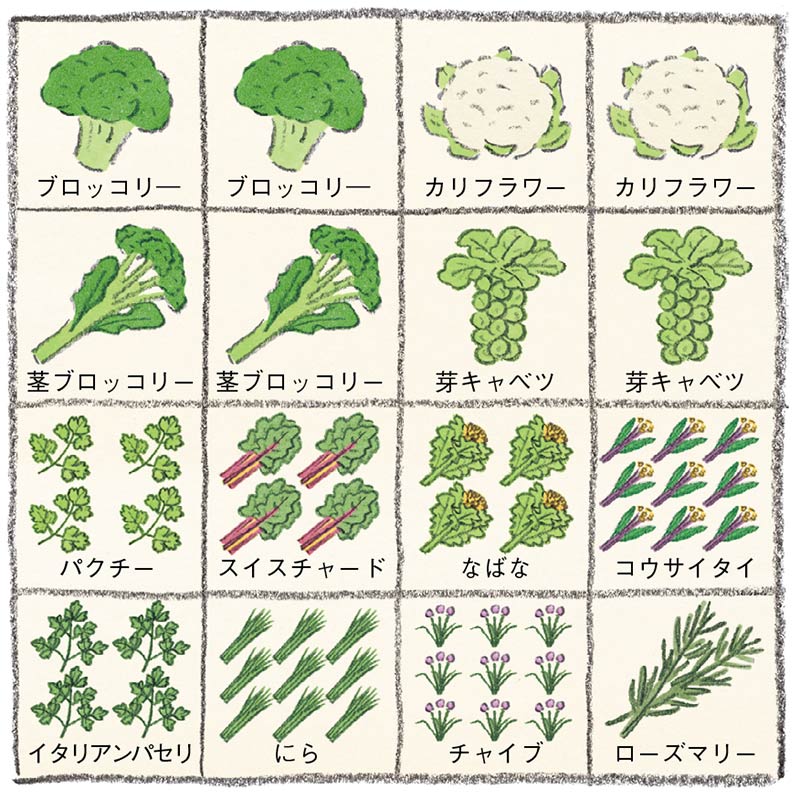 画像: 9月の栽培プラン