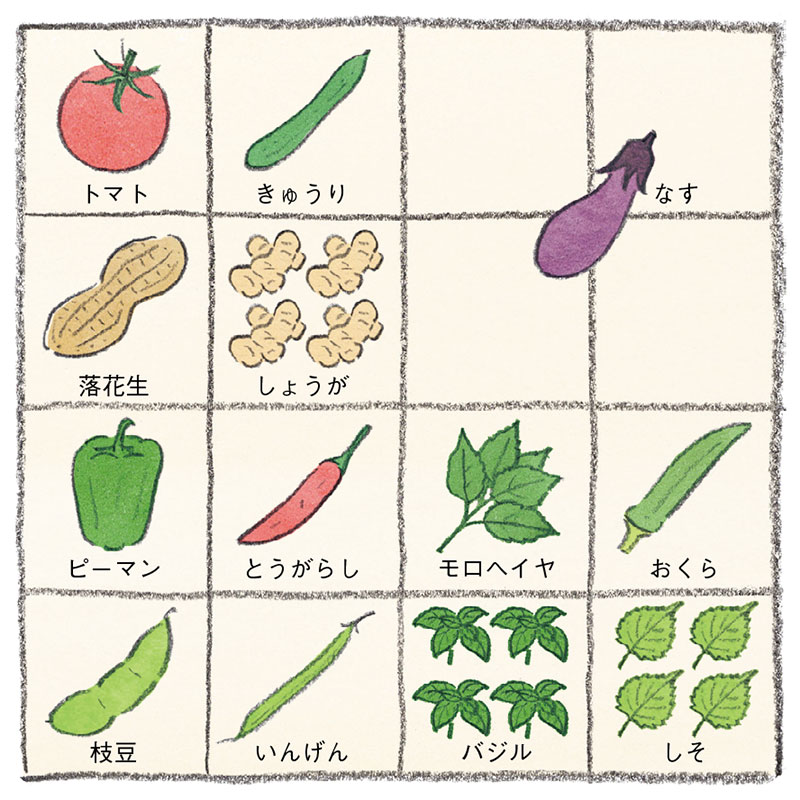 画像: 6月の栽培プラン