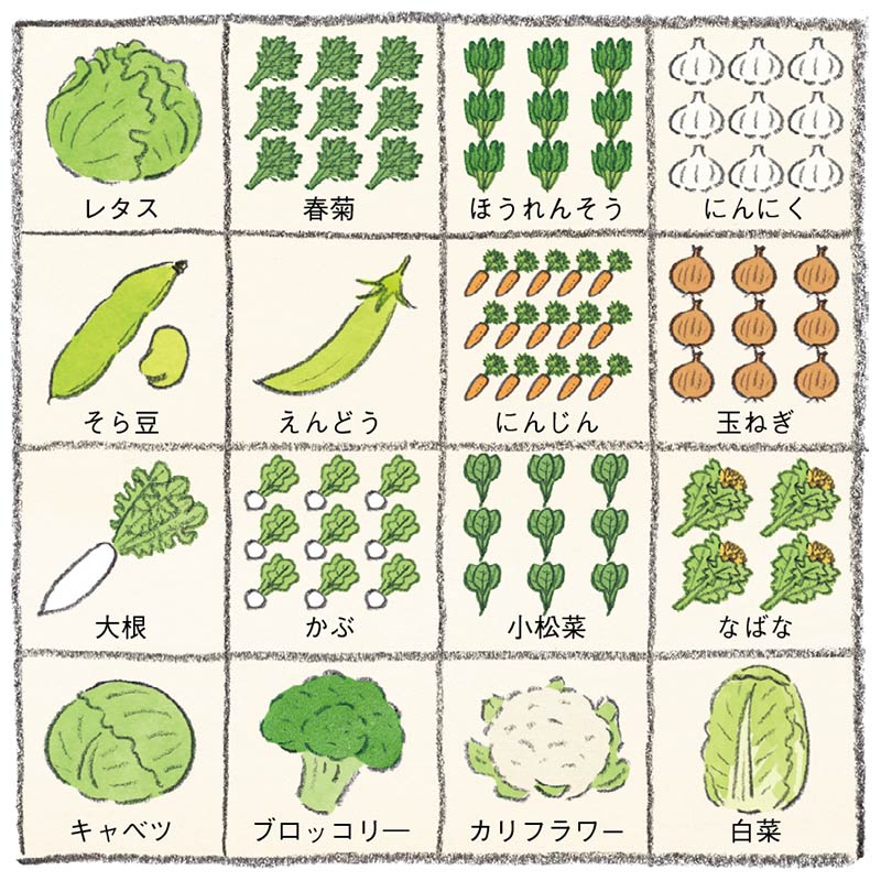画像: 11月の栽培プラン