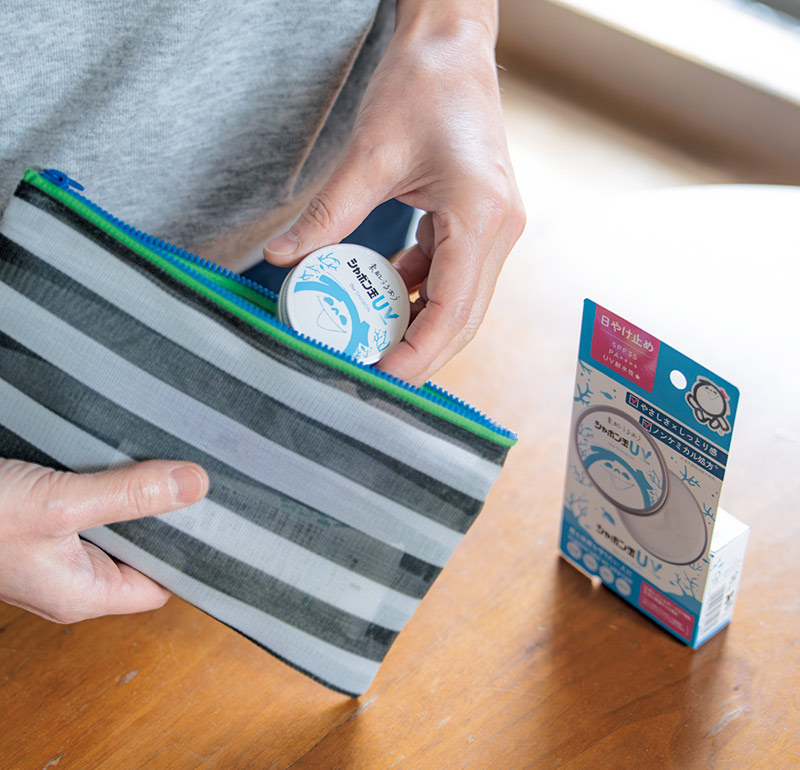 画像: ポーチに入る手のひらサイズ