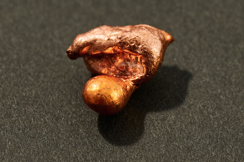 画像: この丸い塊になっているのは珍しい気がします