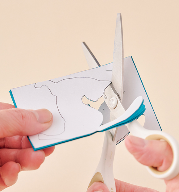 画像3: 基本の切り方