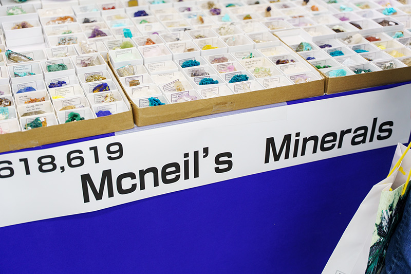 画像: 右の、整然と陳列されている部分が、大き目で美しい標本になっています