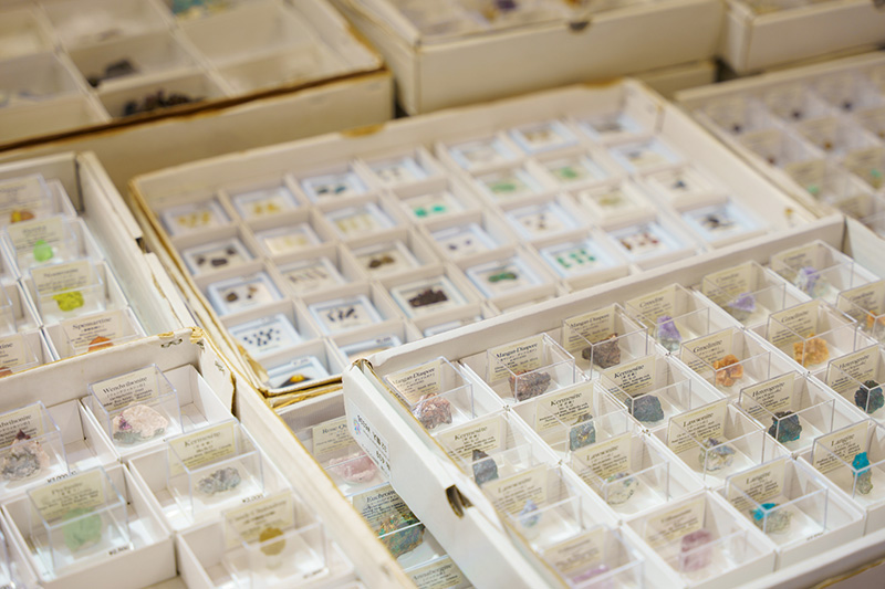 画像: 母岩さんのブースにて。数々の標本ケースに心が躍ります