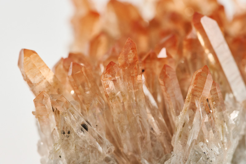 画像: はぁ~、いつまでも見れられそうですが、次に進みます!