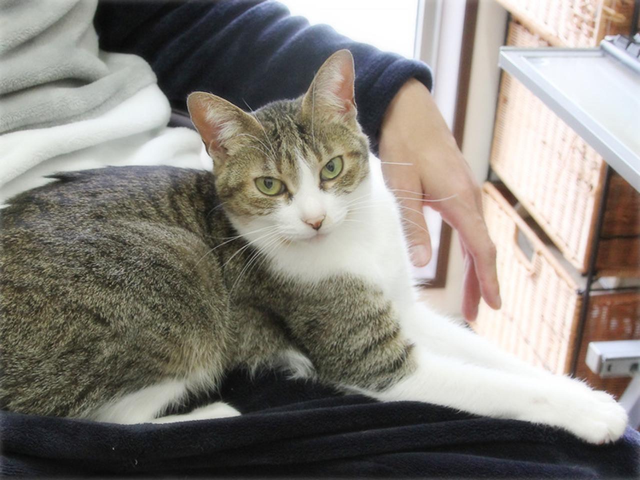 画像: おひざも大好き