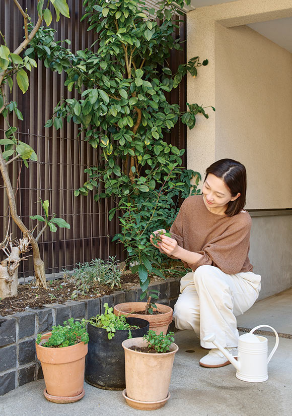 画像3: みんなのハーブとスパイスの楽しみ