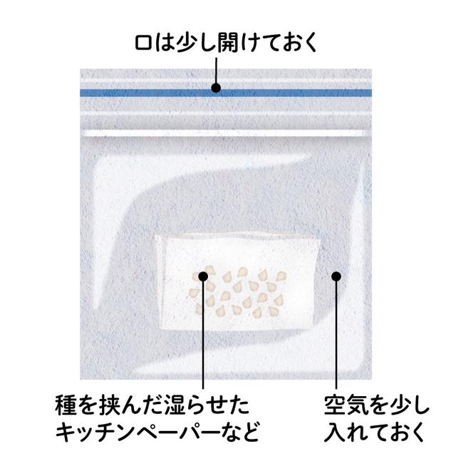 画像: 2．冷蔵庫で保存する