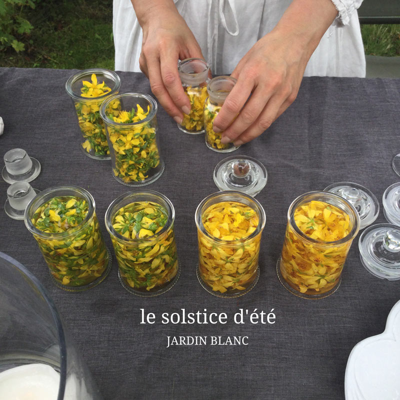 画像1: 感じる植物の波動 チンクチャー