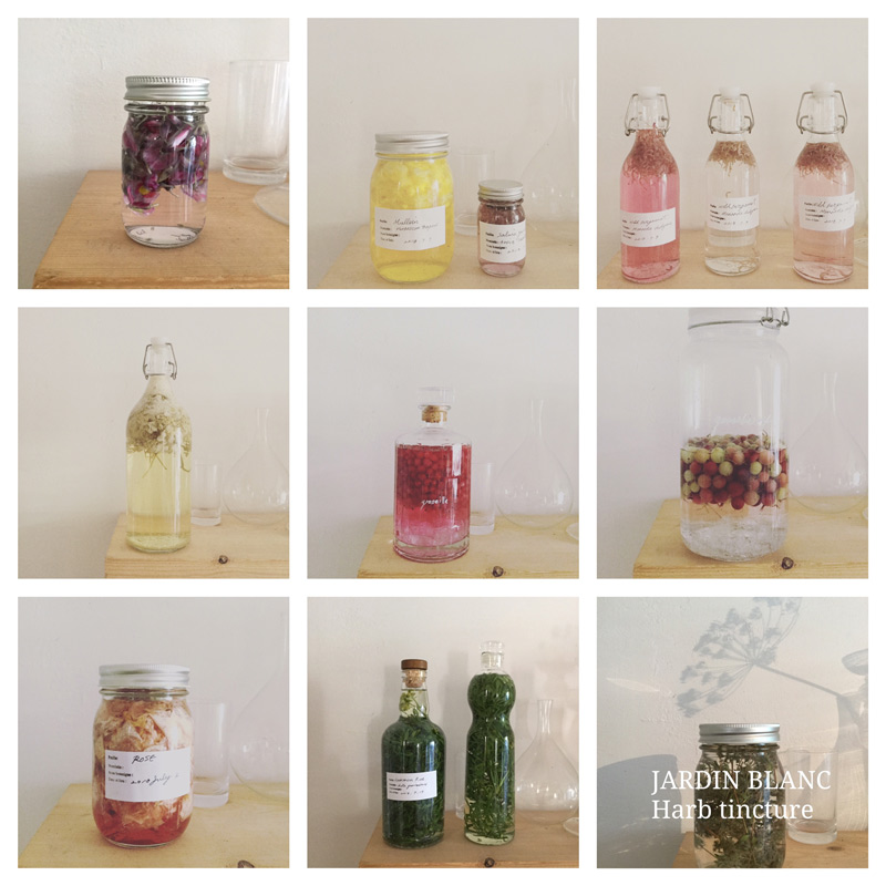 画像2: 感じる植物の波動 チンクチャー