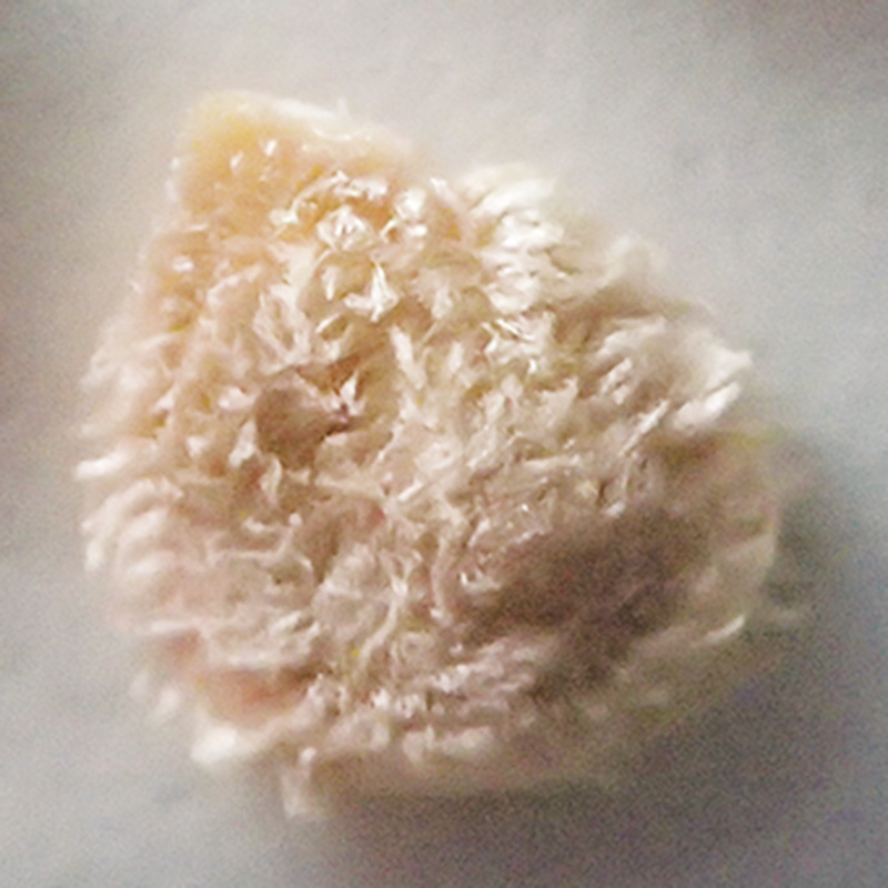 画像2: 家庭菜園で「元気なトマト」を育てる種まきの超裏ワザ！種を冷蔵庫で保存する“低温処理”で甘くてよく育つトマトに／自然菜園コンサルタント・竹内孝功さん