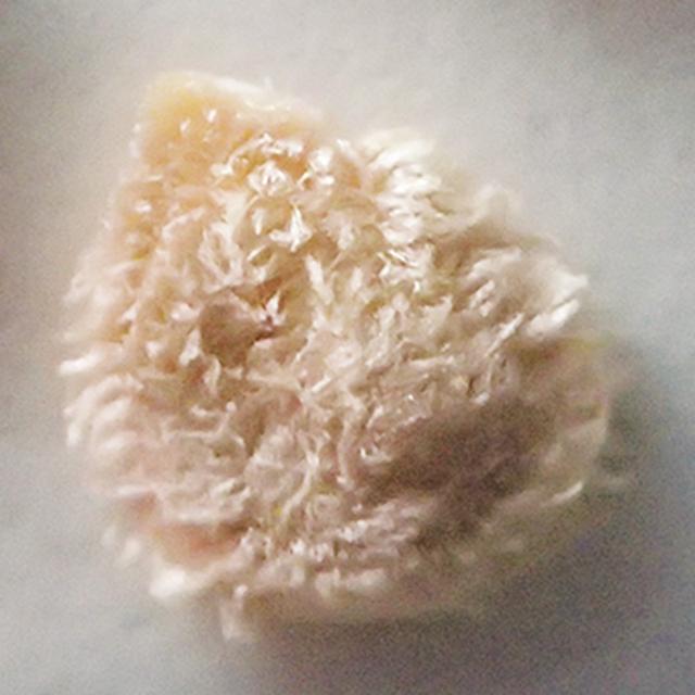 画像2: 家庭菜園で「元気なトマト」を育てる種まきの超裏ワザ！種を冷蔵庫で保存する“低温処理”で甘くてよく育つトマトに／自然菜園コンサルタント・竹内孝功さん