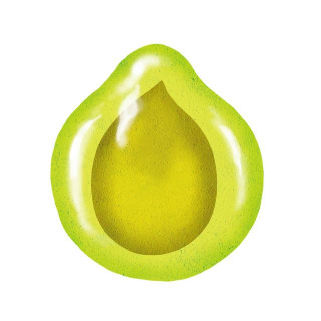 画像1: 家庭菜園で「元気なトマト」を育てる種まきの超裏ワザ！種を冷蔵庫で保存する“低温処理”で甘くてよく育つトマトに／自然菜園コンサルタント・竹内孝功さん