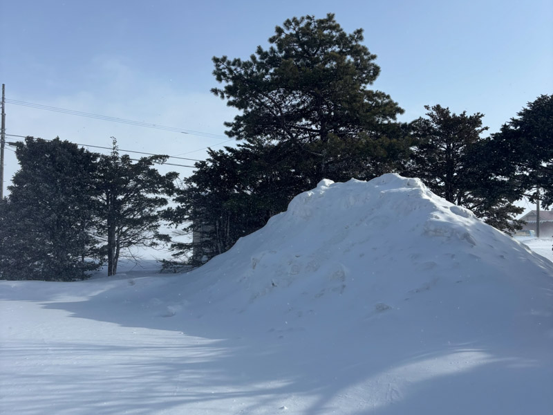 画像1: 長沼と成田の往復、寒暖差に体がとまどう日々