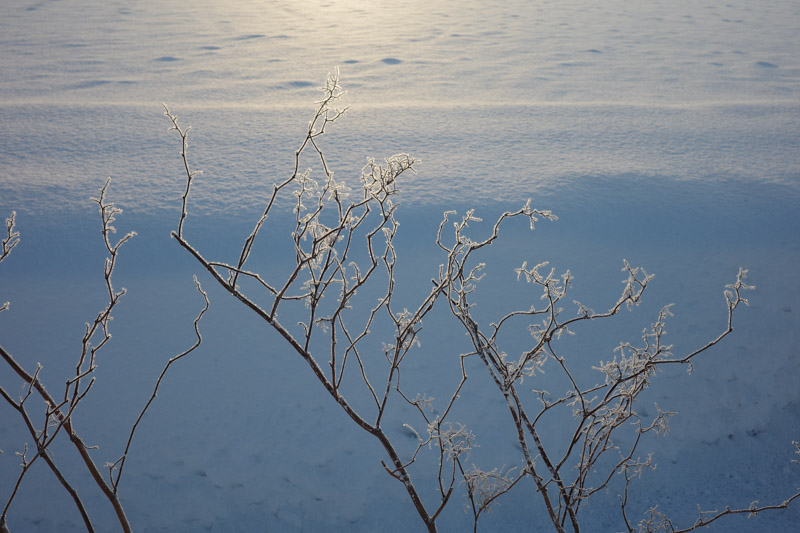 画像1: 厳しい寒さと冬の美しさのはざまで