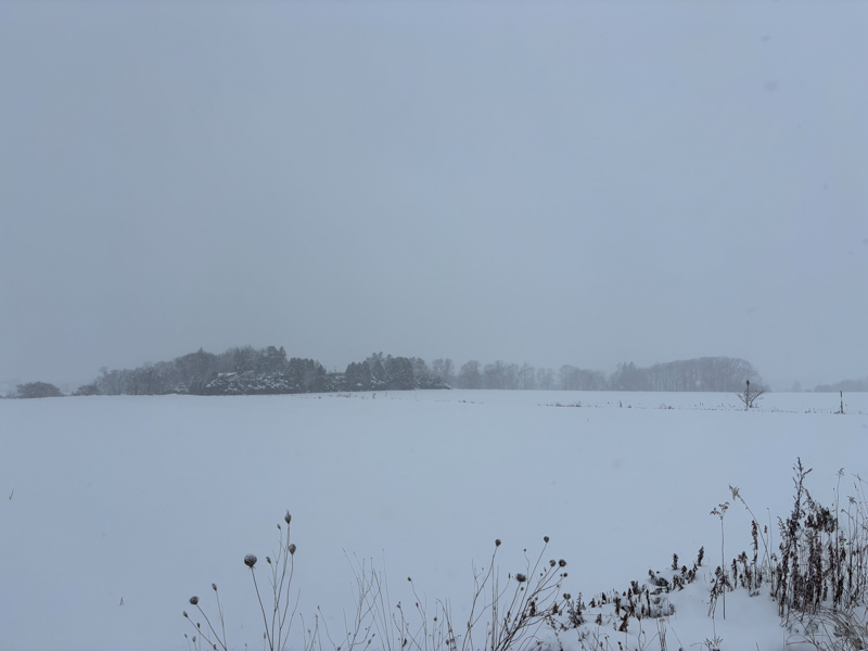 画像2: 長沼と成田の往復、寒暖差に体がとまどう日々