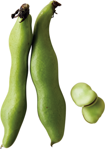 画像: そら豆が主役！春のごちそう「そら豆と鶏むねのレモンクリームパスタ」のつくり方。そら豆の風味が際立つ“豆乳クリーム”のさっぱりした味わい／管理栄養士、料理家・千葉葵さん