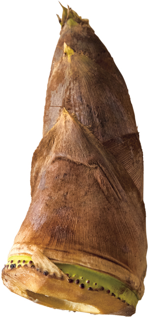 画像: 春のごちそう「たけのことわかめの炊き込みごはん」のつくり方。たけのこのおいしい茹で方や“おすすめ保存法”も／管理栄養士、料理家・千葉葵さん