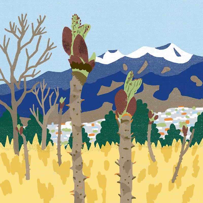 画像2: 3つのまちがいを探してください